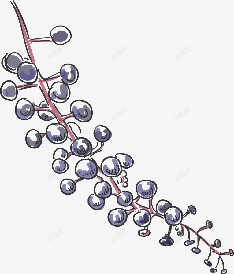 手绘素雅植物png免抠素材_新图网 https://ixintu.com 手绘图案 植物 素雅小花 草药