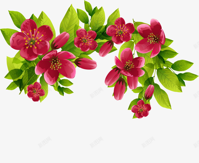 红色花朵植物png免抠素材_新图网 https://ixintu.com 免抠PNG 树藤 植物 清新 红色 美丽 花朵 花藤