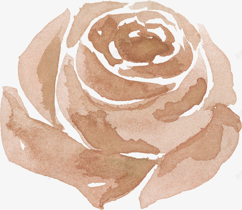 棕色水墨玫瑰花朵png免抠素材_新图网 https://ixintu.com 水墨 玫瑰花朵 简图 美丽的 花卉 花瓣 装饰