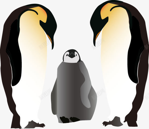 企鹅一家png免抠素材_新图网 https://ixintu.com 企鹅 关爱子女 南北极 家庭