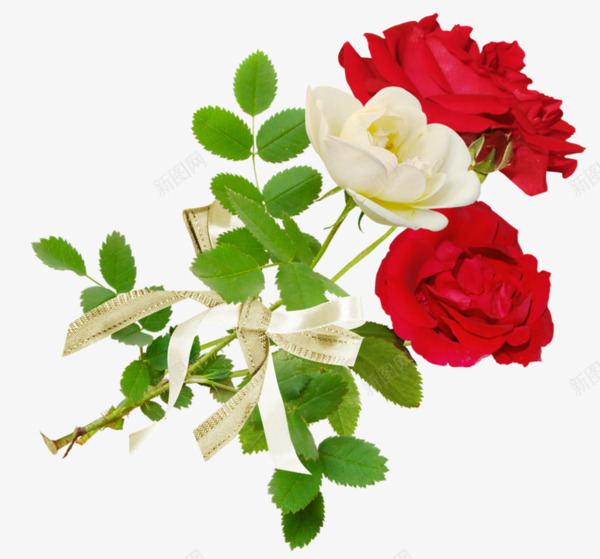 漂浮的玫瑰花png免抠素材_新图网 https://ixintu.com 叶子 手绘 玫瑰花 红色 鲜花
