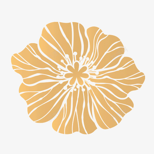金色花朵手绘简图png免抠素材_新图网 https://ixintu.com 手绘图 美丽的 花卉 花朵 花瓣 花蕊 金色花朵