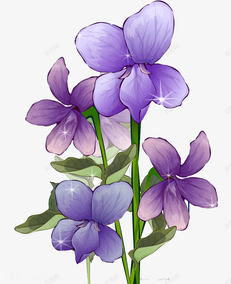 美丽的紫罗兰png免抠素材_新图网 https://ixintu.com 叶子 手绘 手绘紫罗兰 植物 紫罗兰 紫色 美丽 花朵 芳香