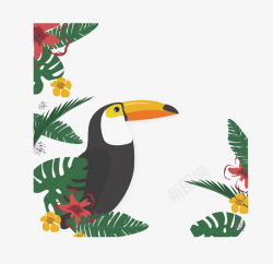 托哥巨嘴鸟热带花卉与托哥巨嘴鸟矢量图高清图片