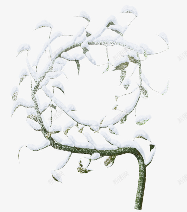 冬树png免抠素材_新图网 https://ixintu.com 冬季 冬树 枯树 树木 树枝 积雪