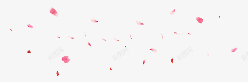 花瓣漂浮元素psd免抠素材_新图网 https://ixintu.com 海报装饰 漂浮 粉色 花瓣