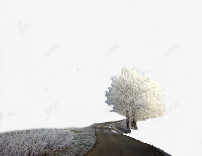 冬天的树png免抠素材_新图网 https://ixintu.com 冬天 道路 银色树 雪景 风景