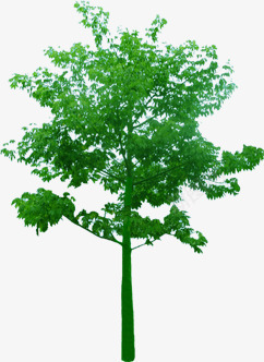创意绿色植物大树环境渲染png免抠素材_新图网 https://ixintu.com 创意 大树 渲染 环境 绿色植物