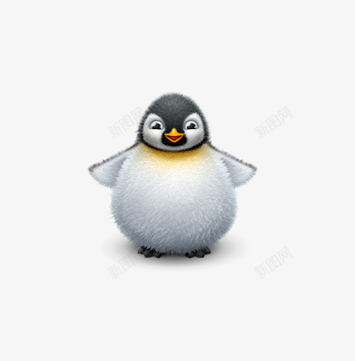 可爱的小企鹅png免抠素材_新图网 https://ixintu.com 企鹅 动物 可爱 毛茸茸