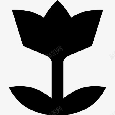 低矮植被花的轮廓图标图标