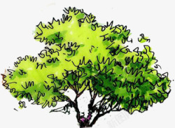 合成创意手绘绿色的大树素材