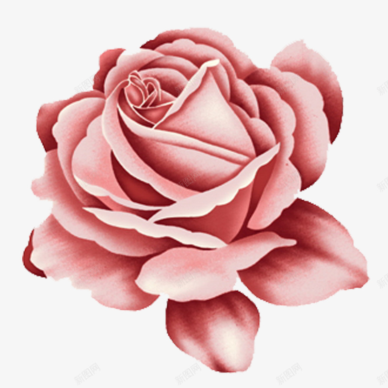 卡通手绘粉色玫瑰花朵png免抠素材_新图网 https://ixintu.com 创意 动漫人物 卡通手绘 玫瑰花朵 粉色 美丽的玫瑰花