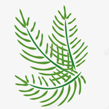 低矮植被绿色棕榈图标图标