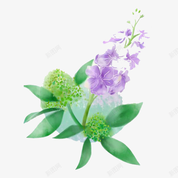 美丽的紫罗兰png免抠素材_新图网 https://ixintu.com 手绘 手绘紫罗兰 植物 紫罗兰 紫色 绿色 美丽 花朵 芳香