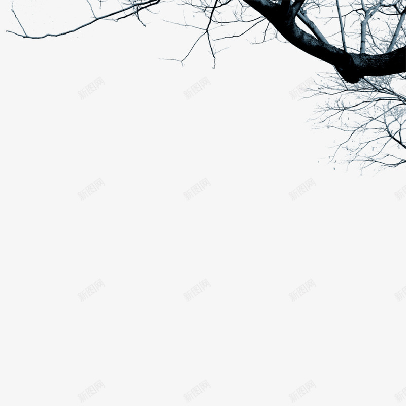 冬季里的枯树枝png免抠素材_新图网 https://ixintu.com 冬季 凄凉 凄凉之美 枯树枝 苍白