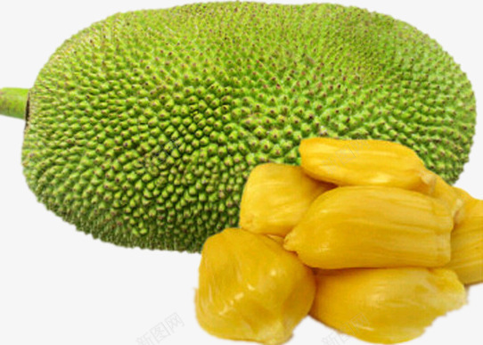 一个大树菠萝和大树菠萝肉png免抠素材_新图网 https://ixintu.com 产品实物 大树菠萝 新鲜 水果 生鲜 食物