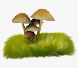 草丛蘑菇素材