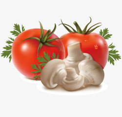 番茄蘑菇矢量图素材