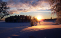 冬日阳光冬日黄昏美景阳光高清图片