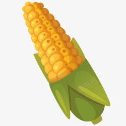新鲜的玉米汁新鲜玉米插画矢量图高清图片
