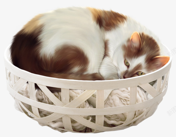 篮子里睡觉的猫咪png免抠素材_新图网 https://ixintu.com 动物小猫 小猫 猫 篮子