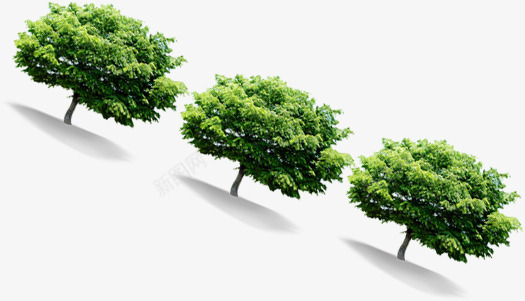 植树节环保大树装饰png免抠素材_新图网 https://ixintu.com 大树 植树节 环保 装饰