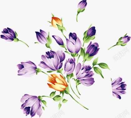 紫色美丽花朵手绘png免抠素材_新图网 https://ixintu.com 紫色 美丽 花朵