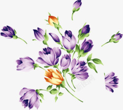 紫色美丽花朵手绘素材