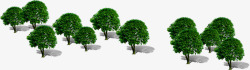 园林绿化植物大树素材