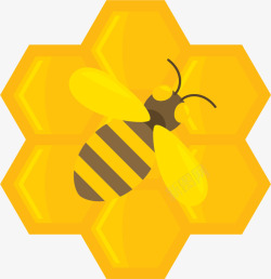 蜜蜂蜂窝矢量图素材