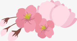 粉色美丽春季花朵素材