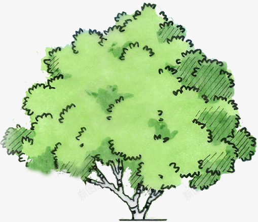 创意手绘合成绿色的大树效果png免抠素材_新图网 https://ixintu.com 创意 合成 大树 效果 绿色