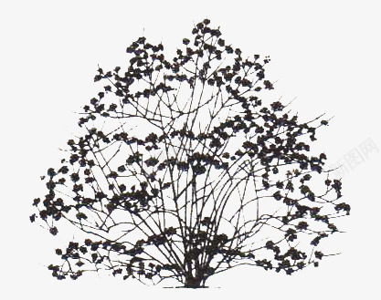 创意大树植物合成效果png免抠素材_新图网 https://ixintu.com 创意 合成 大树 效果 植物