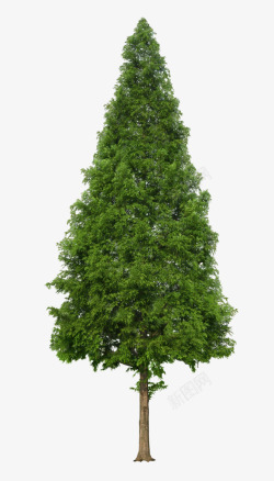 绿色圣诞树造型大树素材