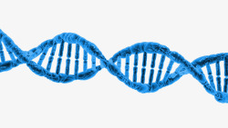 矢量染色体蓝色dna高清图片
