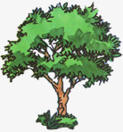 漫画绿色园林植物手绘大树景观素材