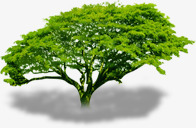 创意合成公园植物大树png免抠素材_新图网 https://ixintu.com 公园 创意 合成 大树 植物