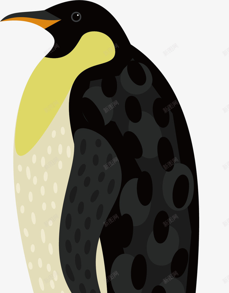 黑白企鹅png免抠素材_新图网 https://ixintu.com 企鹅 动物 南极 可爱 尖嘴 手绘 斑点 白肚皮 皮毛