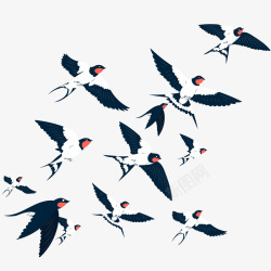 燕子图片天空中飞翔的燕子群矢量图高清图片