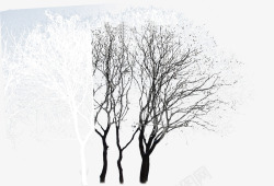 冬季分层对比大树效果图素材