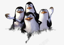四只可爱的企鹅素材