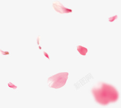 粉色浪漫漂浮花瓣素材