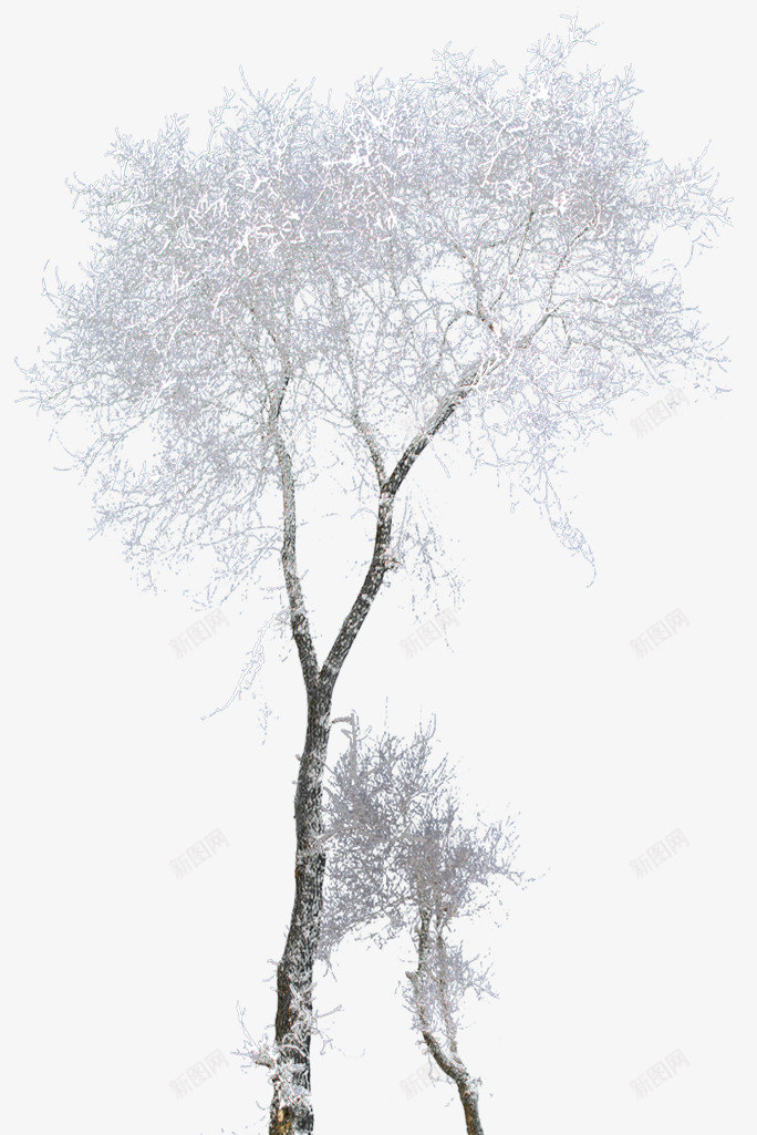 创意合成效果白色的大树png免抠素材_新图网 https://ixintu.com 创意 合成 大树 效果 白色