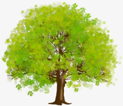 绿色的伞状的树素材