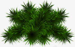 绿色手绘圣诞节植物装饰素材