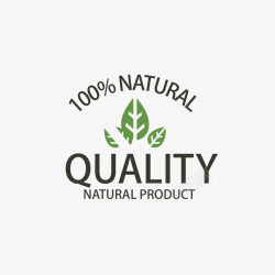 三片叶子素描三片叶子矢量图图标高清图片