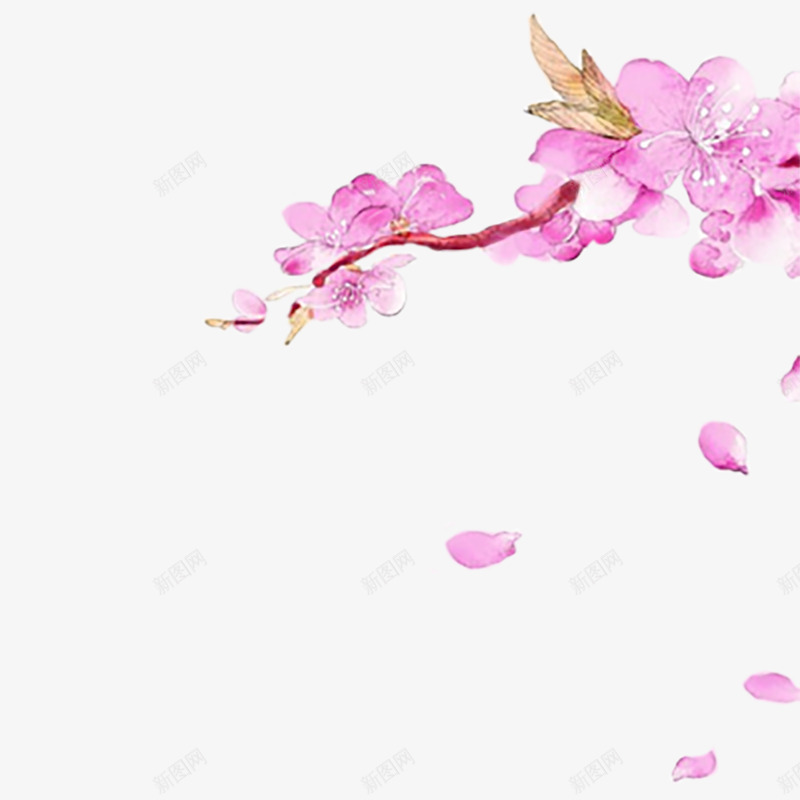 紫色飘散的水彩花瓣png免抠素材_新图网 https://ixintu.com 创意 插画 水墨元素 漂浮 紫色 艺术