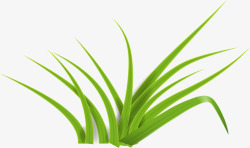 绿色小草装饰素材