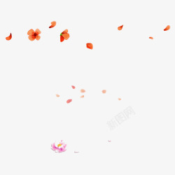 花瓣漂浮物素材