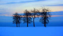 蓝色冬日唯美美景素材